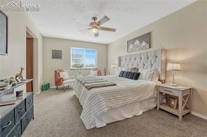 962 Daffodil Street