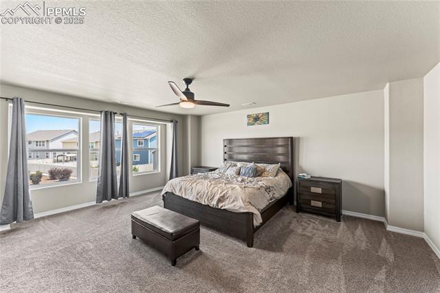 4482 Prairie Agate Drive