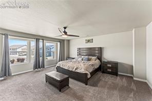 4482 Prairie Agate Drive