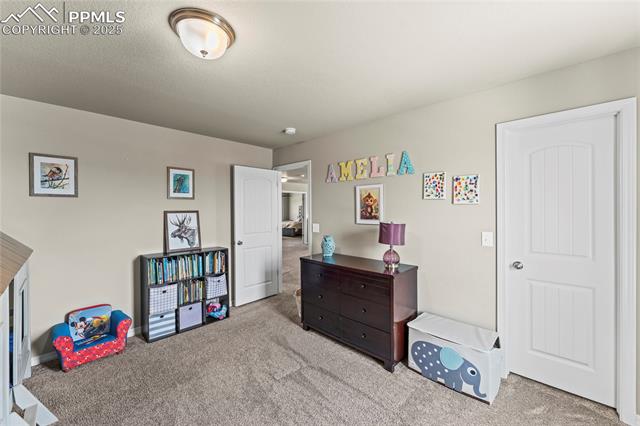 4482 Prairie Agate Drive