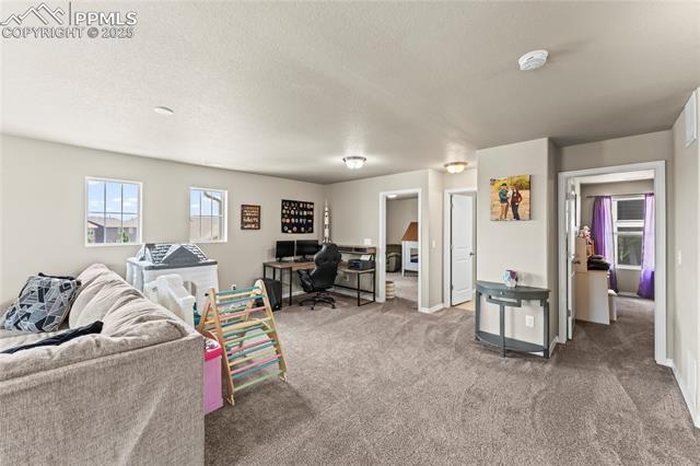 4482 Prairie Agate Drive