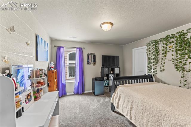 4482 Prairie Agate Drive