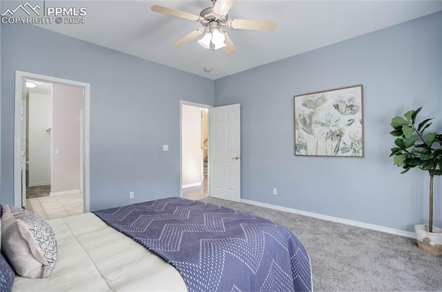 2154 Alpine Shadows View