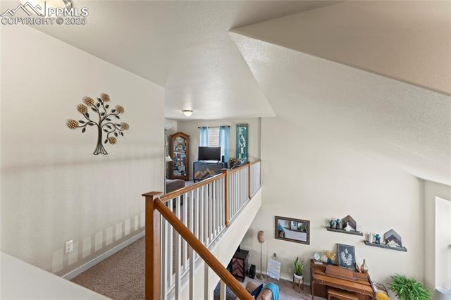 7370 Tributary Court