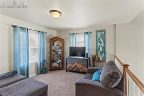 7370 Tributary Court