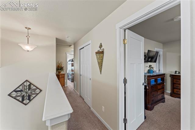 7370 Tributary Court