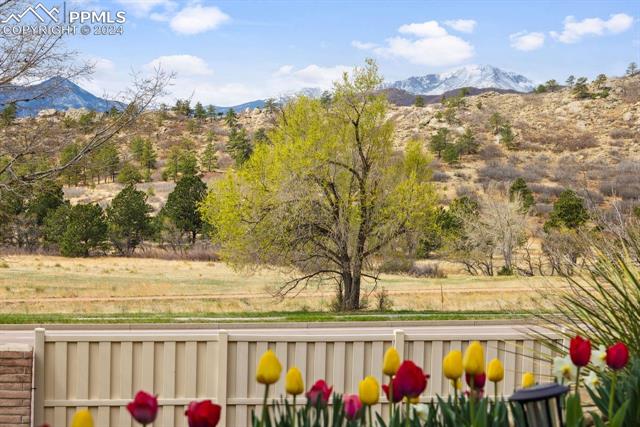 1677 Smoke Ridge Drive