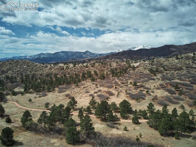 1677 Smoke Ridge Drive