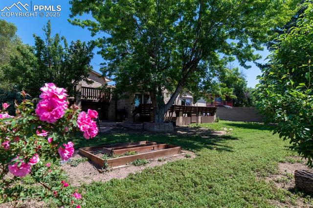 533 Griffith Way