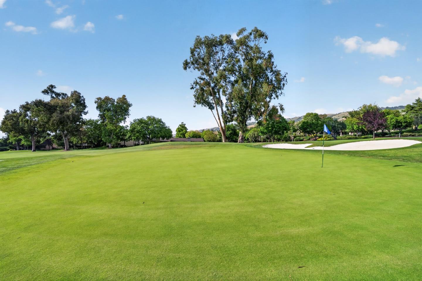 8763 Mccarty Ranch Drive