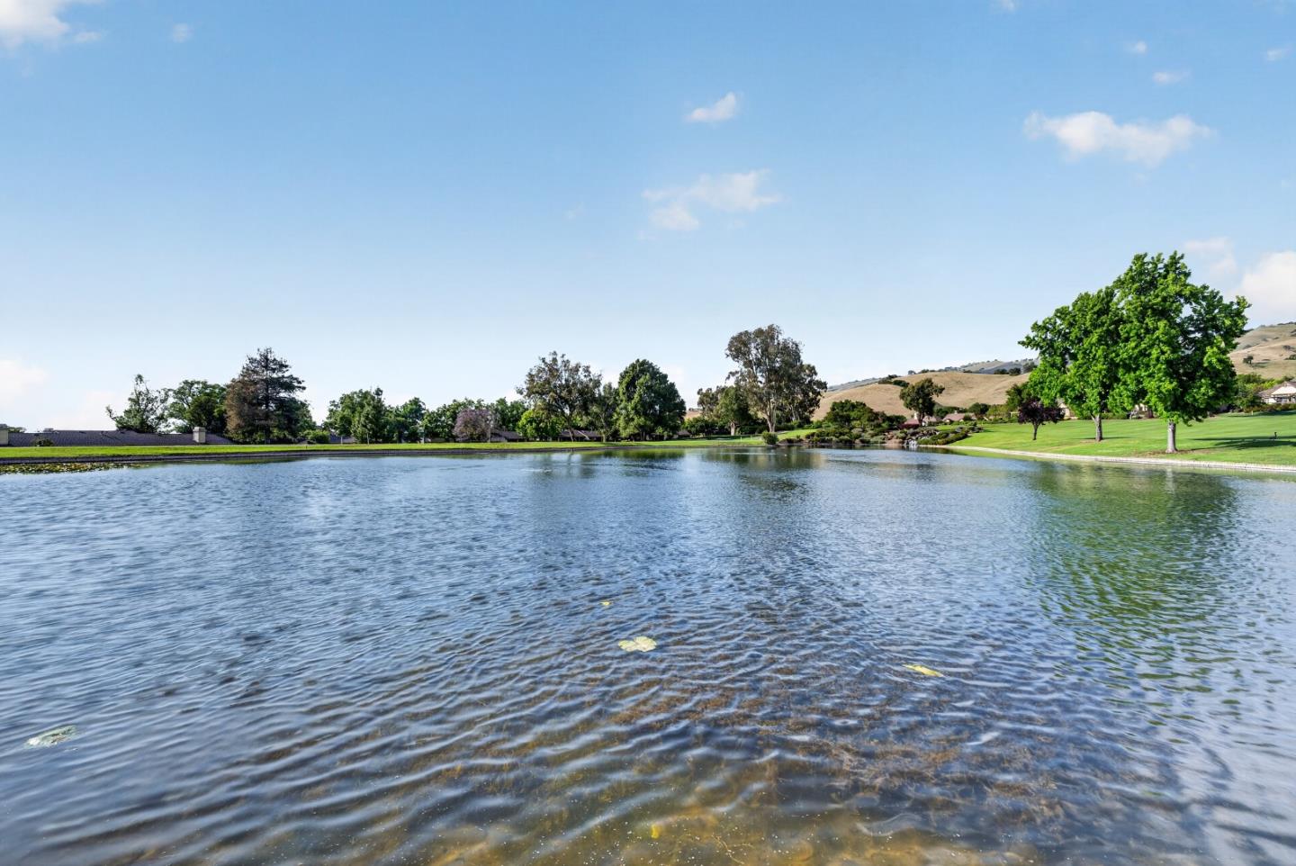 8763 Mccarty Ranch Drive