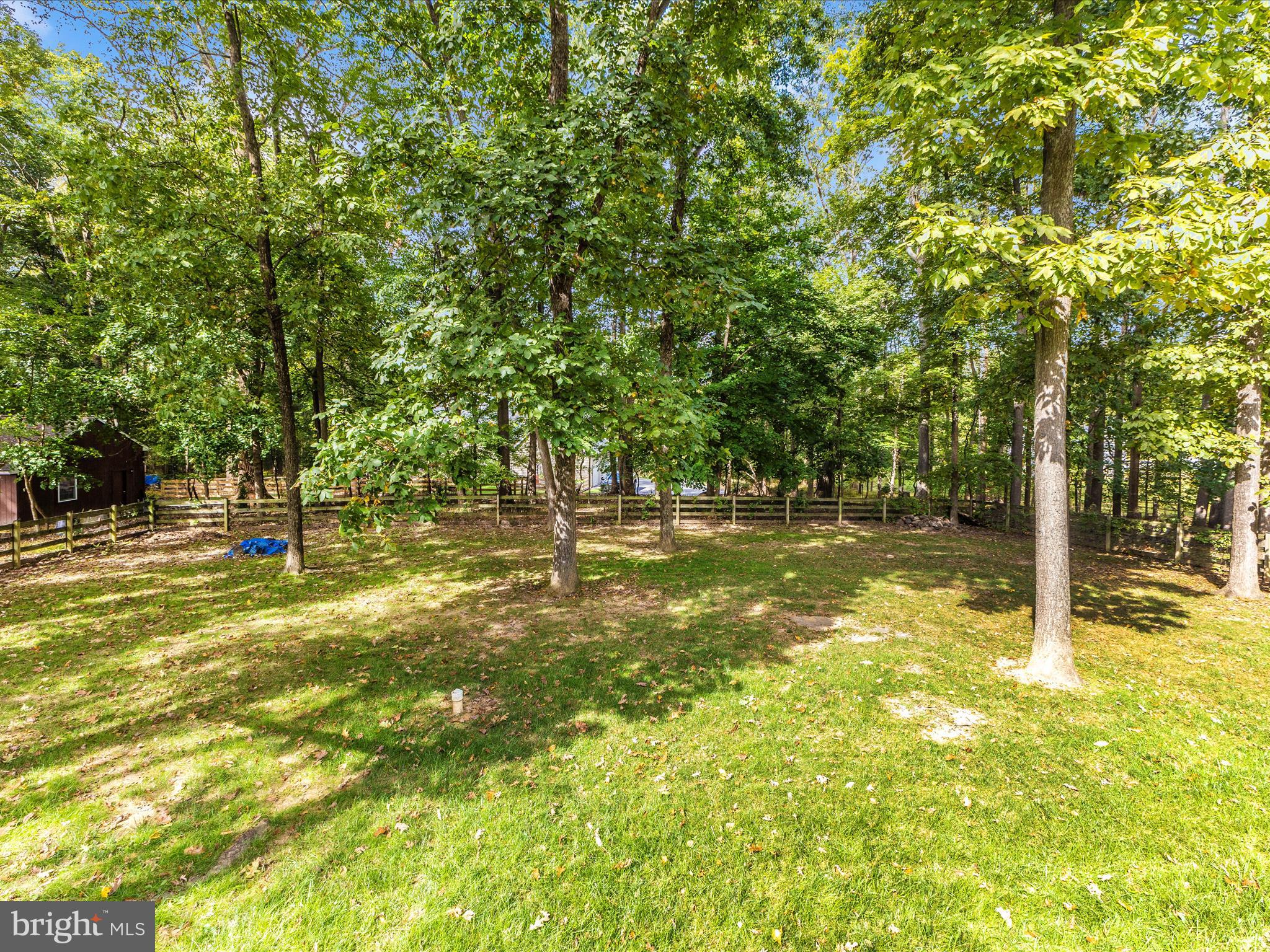 12328 TIMBER GROVE ROAD