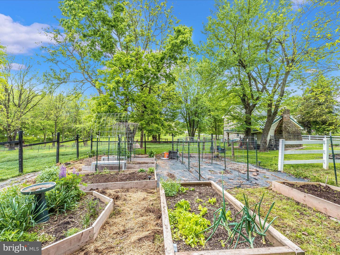 11715 CLYDE YOUNG ROAD
