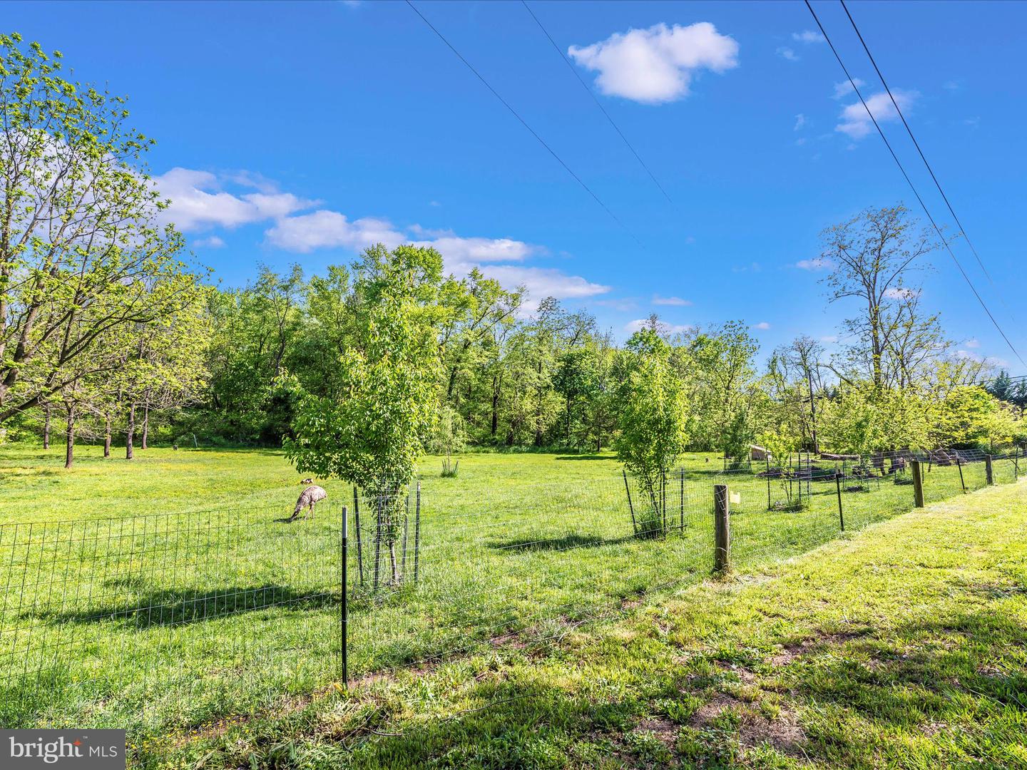 11715 CLYDE YOUNG ROAD