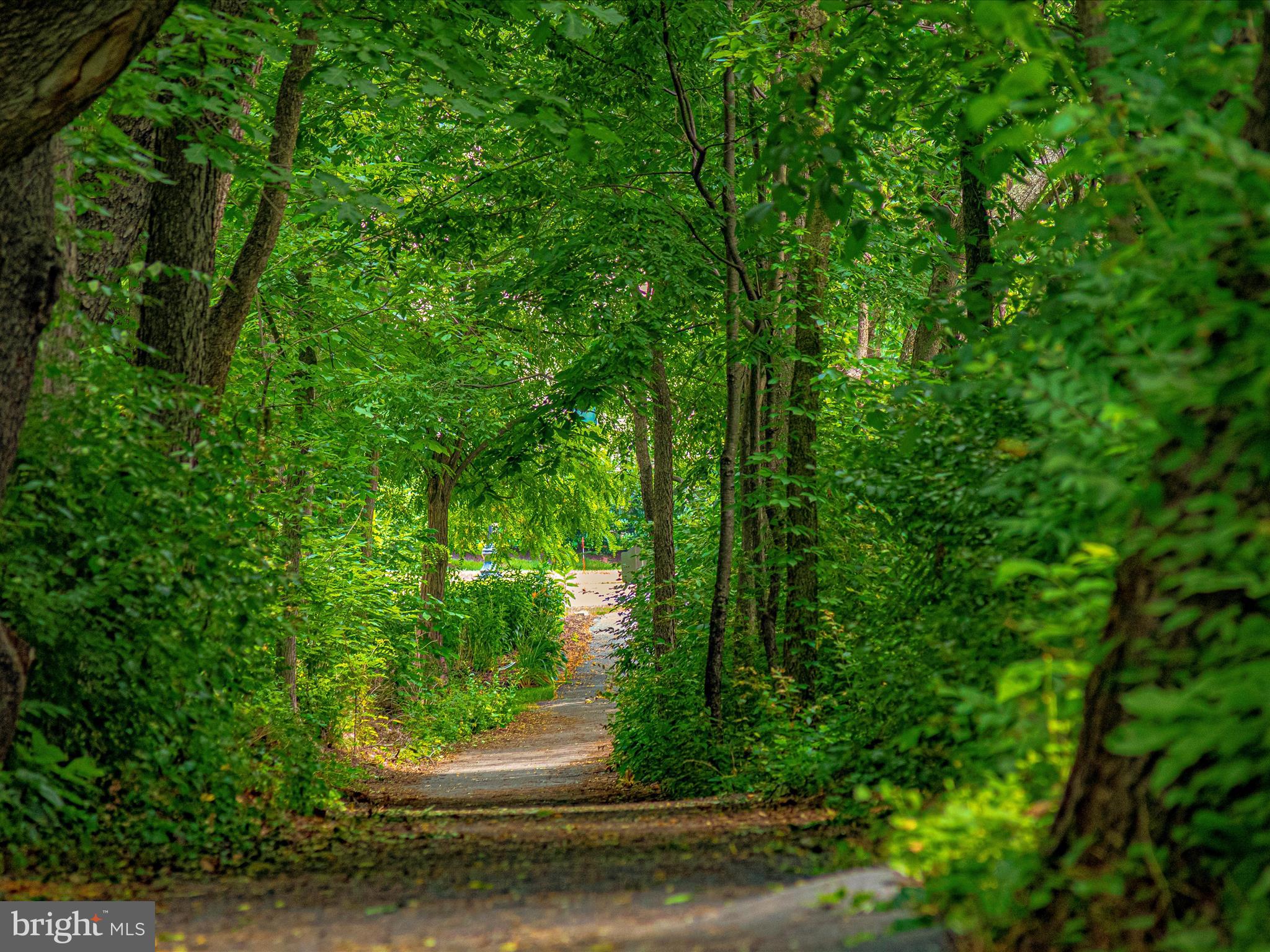 3030 MILL ISLAND PARKWAY Unit: 408