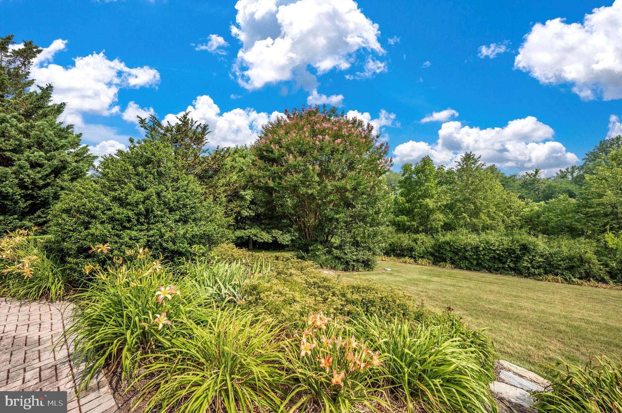 10244 ROYAL SAINT ANDREWS PLACE