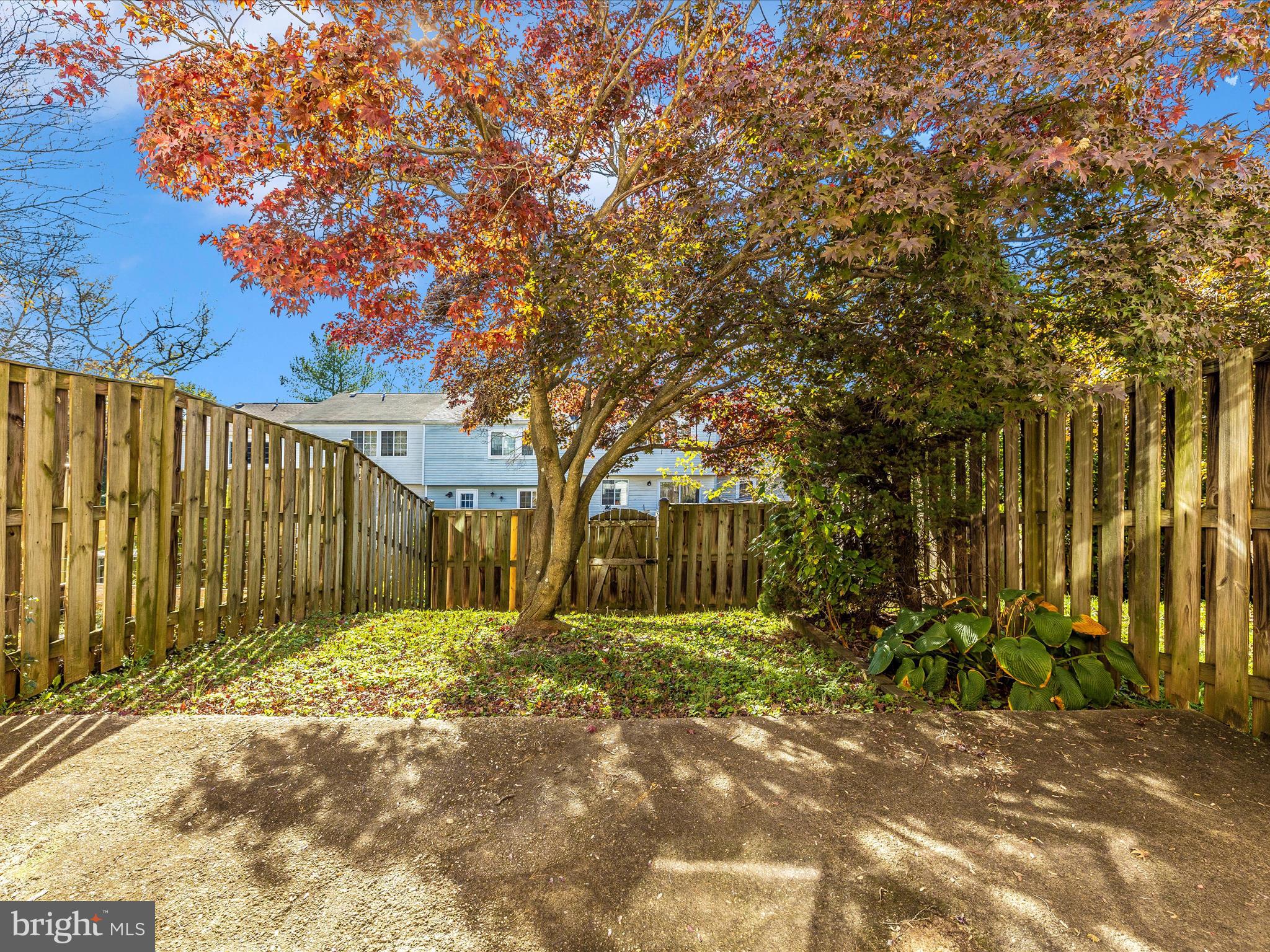 1728 Springfield LANE