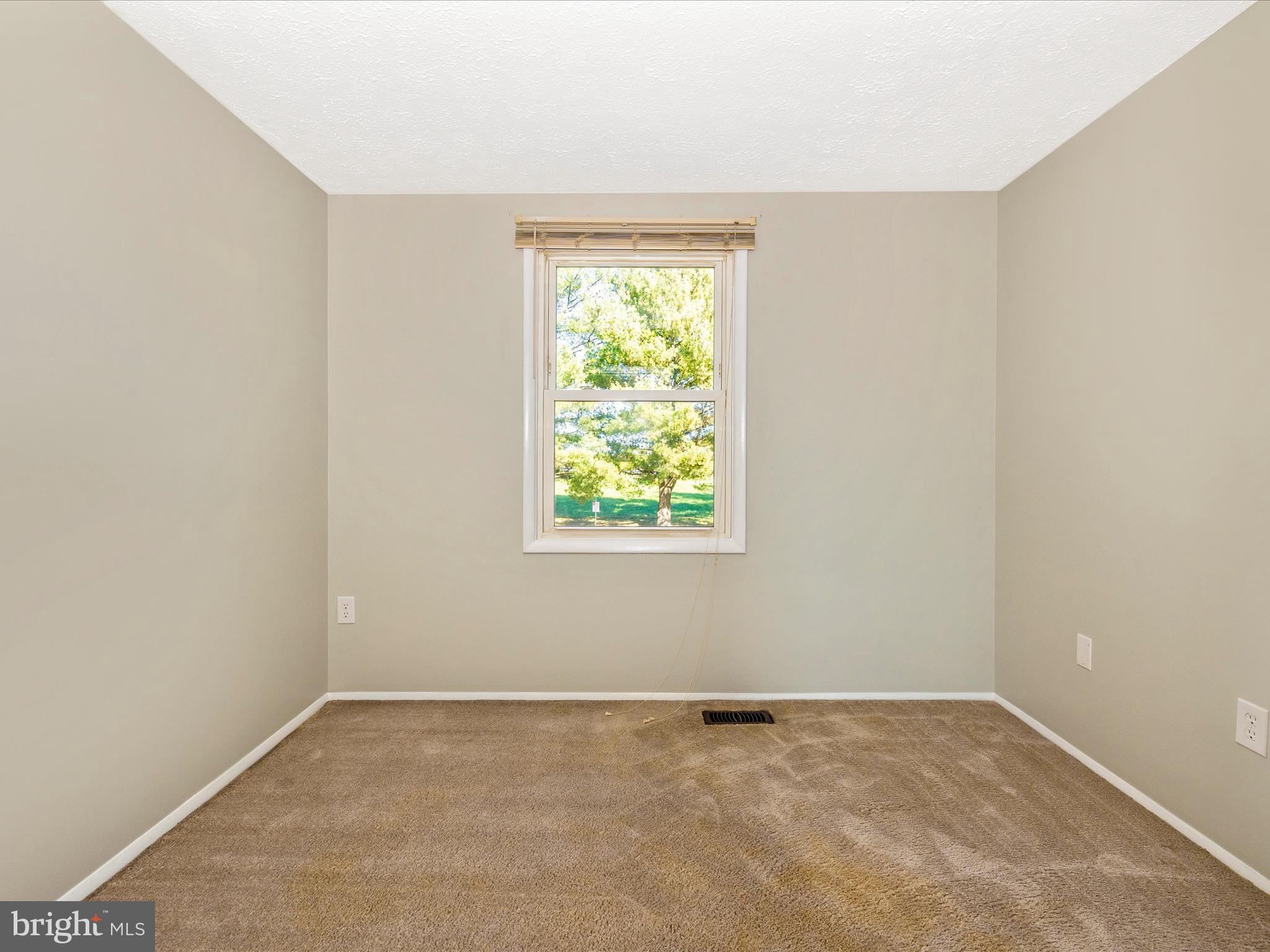 1728 Springfield LANE