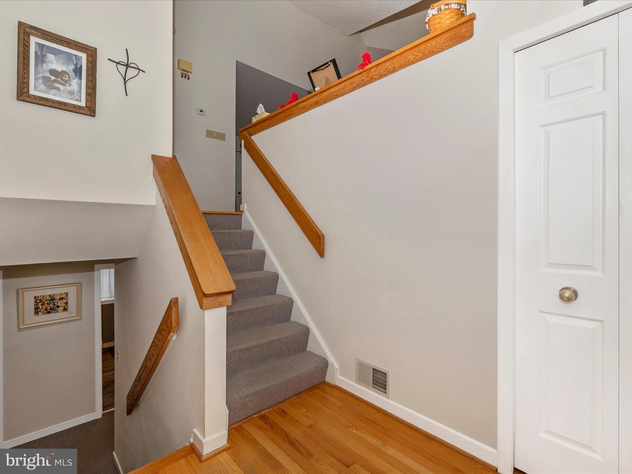 5753 Lichenbark Cir