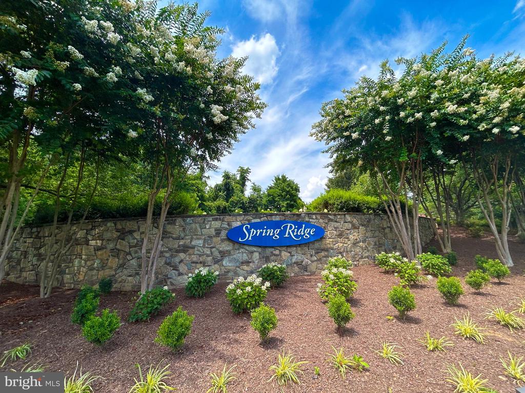 6442 Spring Forest Rd