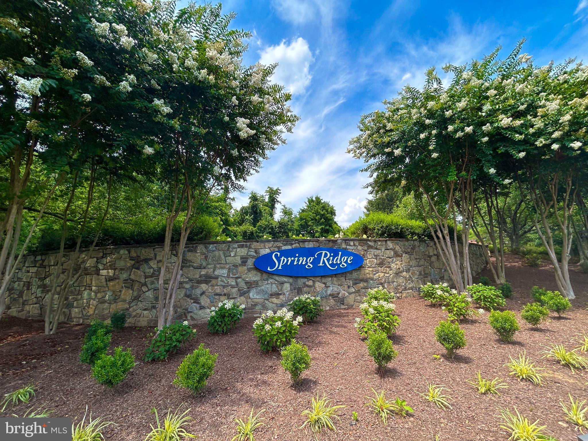 6442 Spring Forest Rd