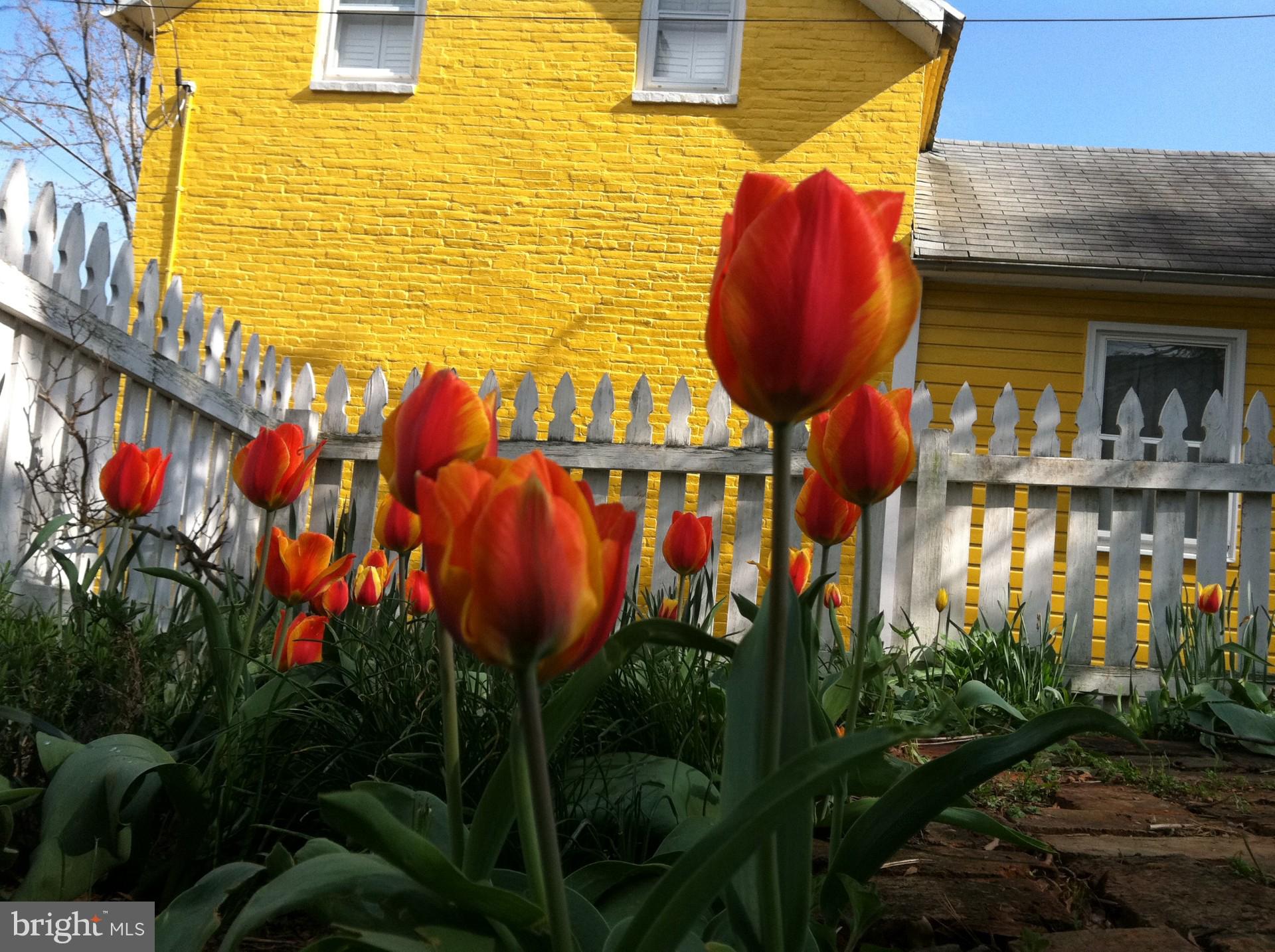 120 E Main St