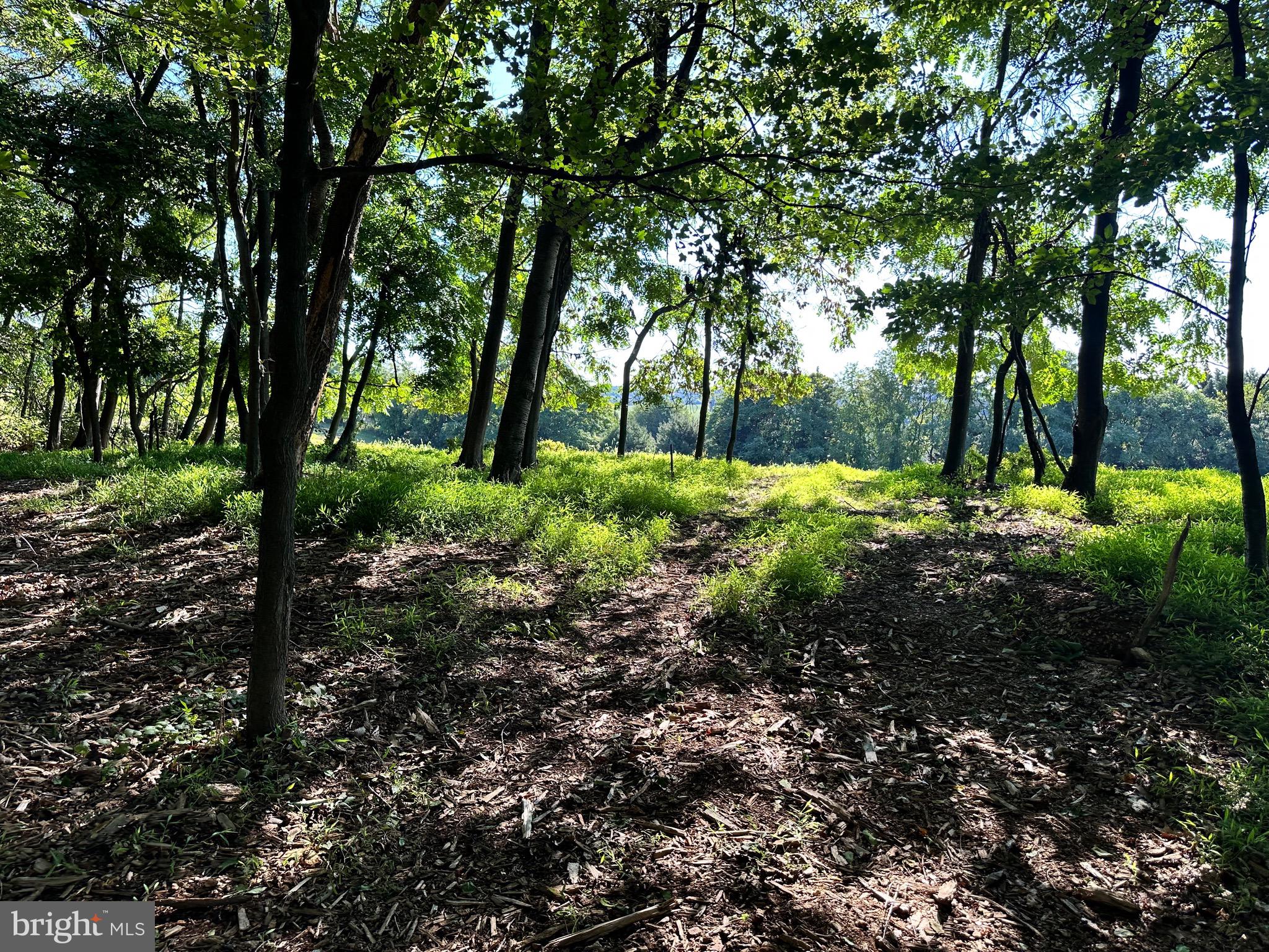 5425 Thornwood Terrace