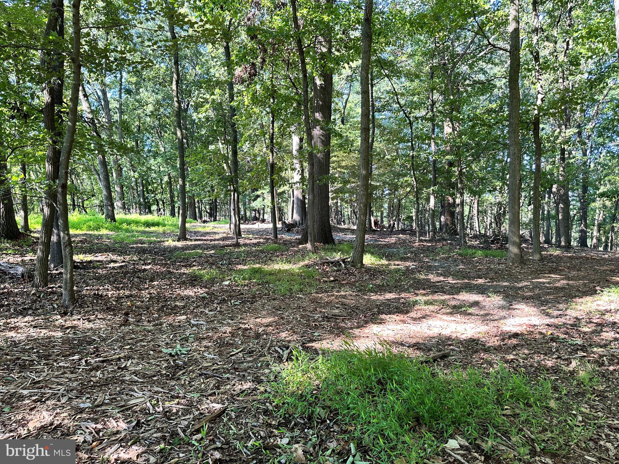 5425 Thornwood Terrace