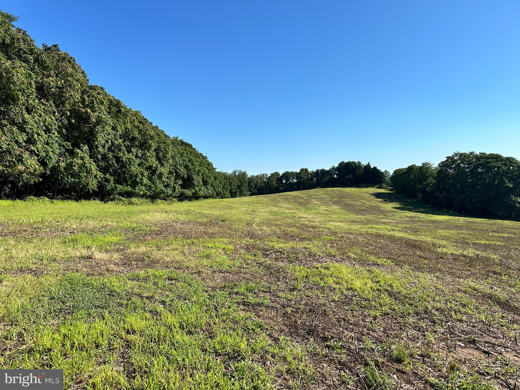 5425 Thornwood Terrace