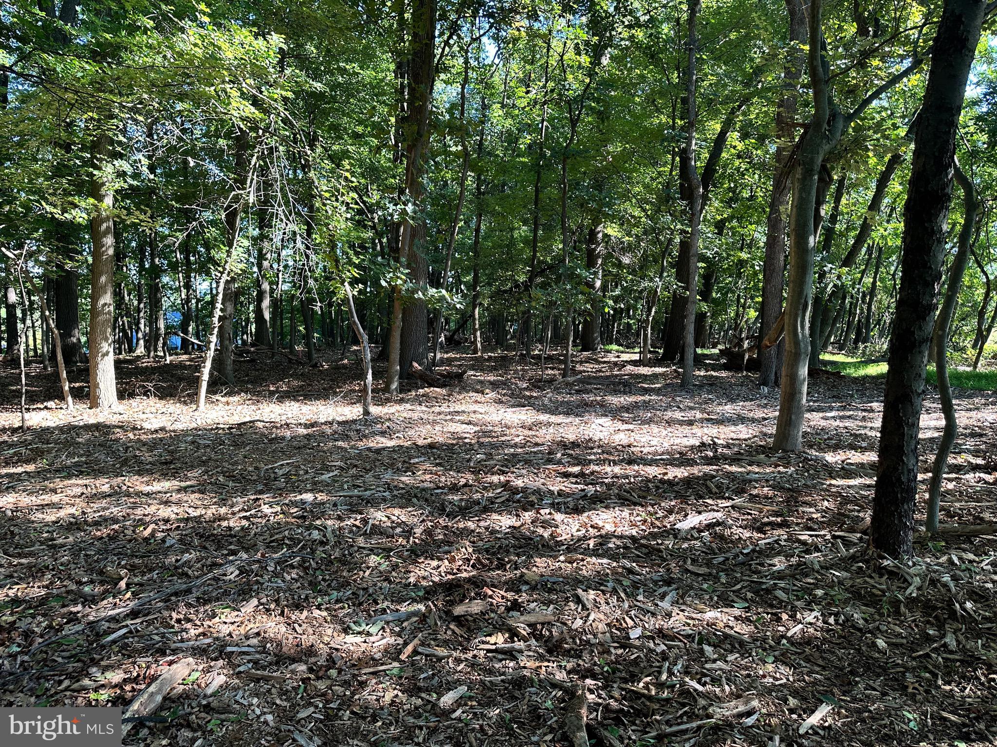 5425 Thornwood Terrace