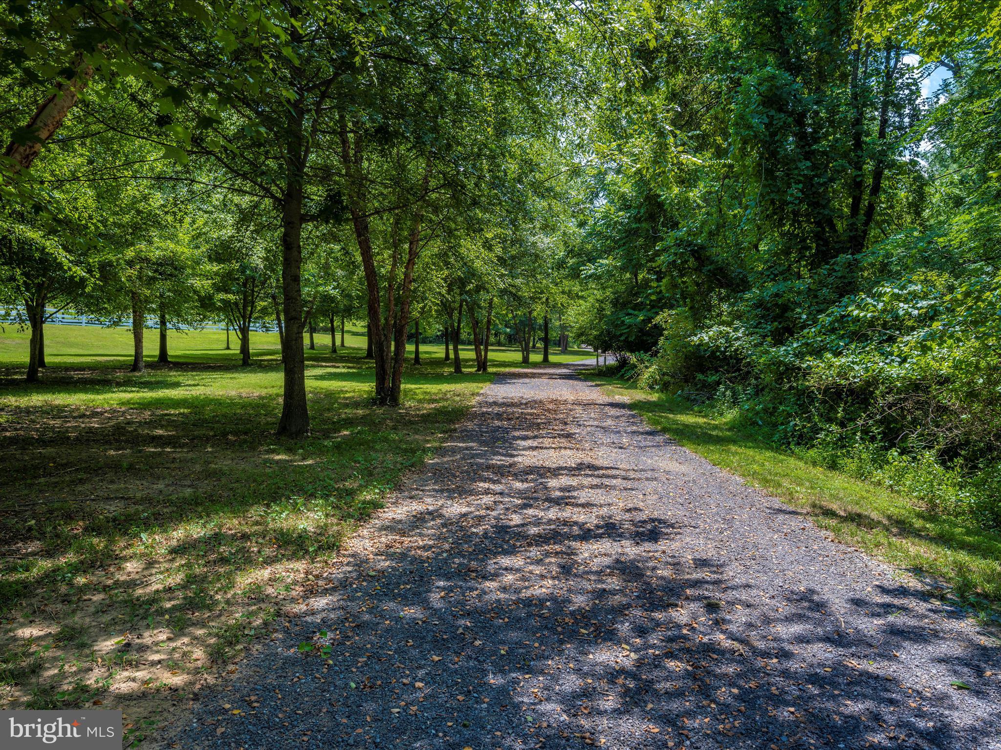 10 Walden Way