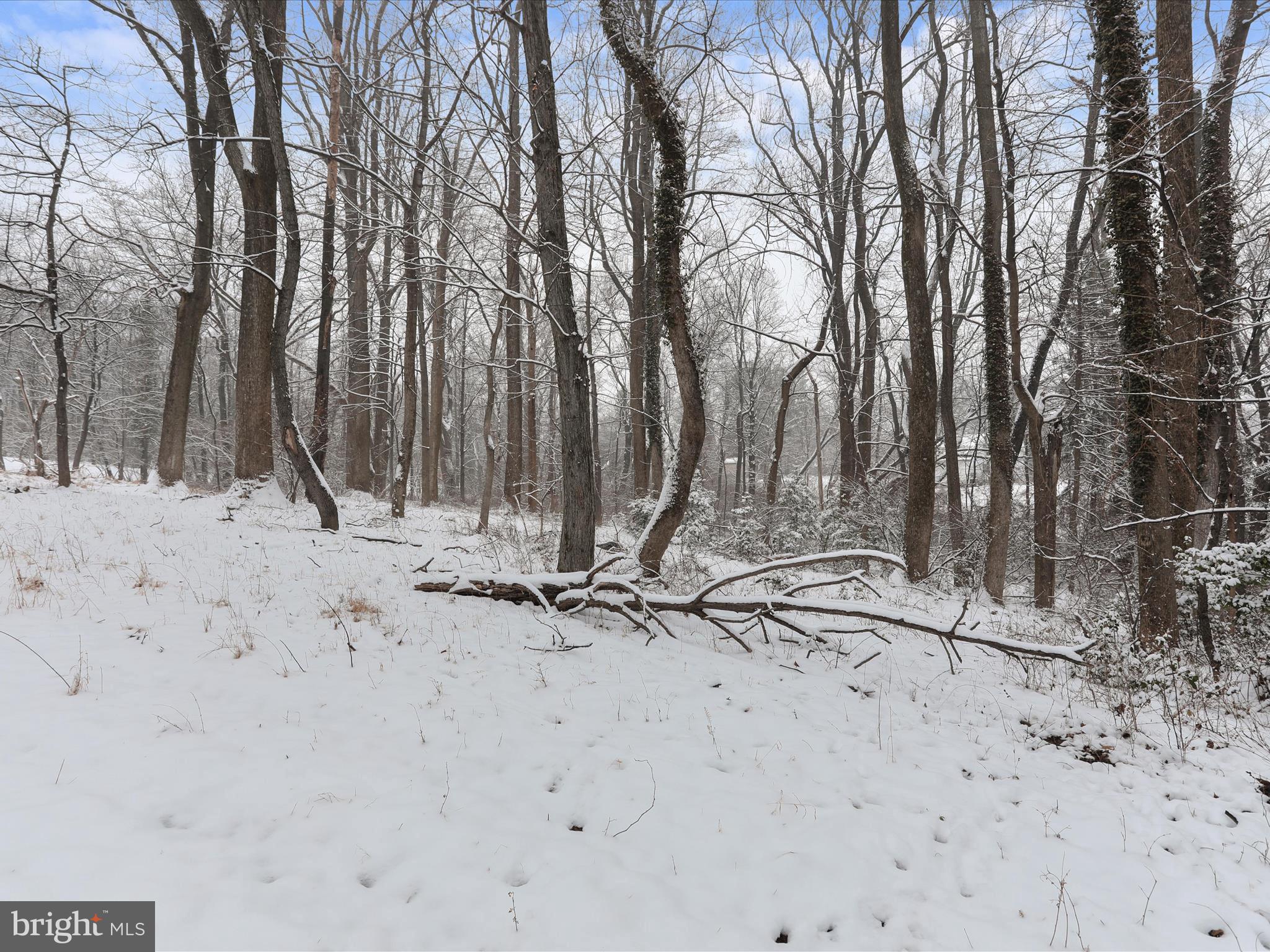 8117 Edgewood Church Rd