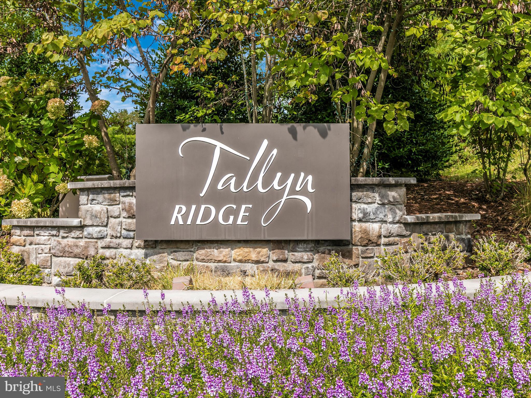 8602 Randell Ridge Rd