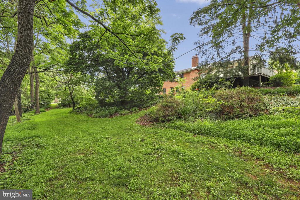 110 Linden Blvd