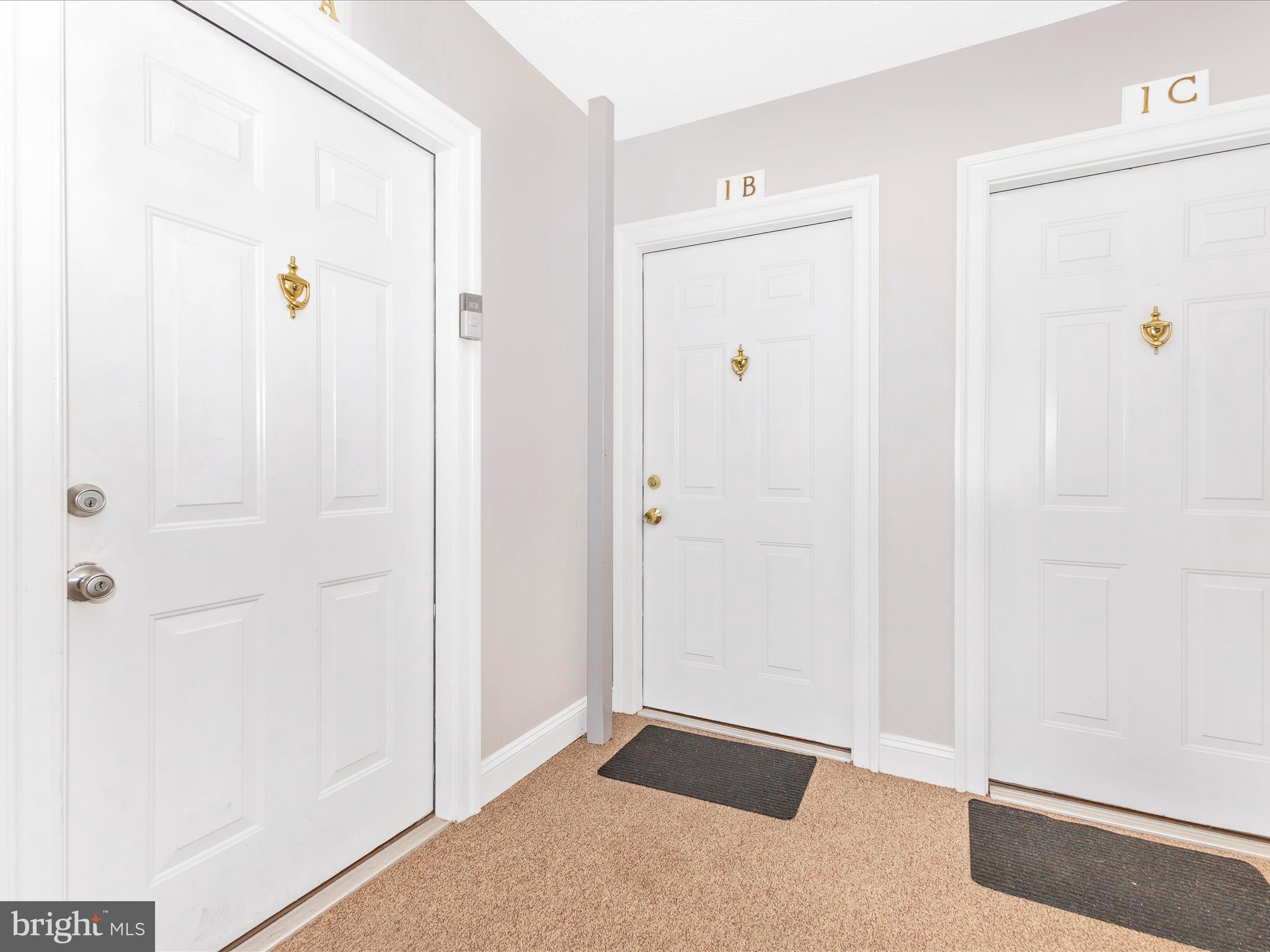 2106 Whitehall Rd #1b