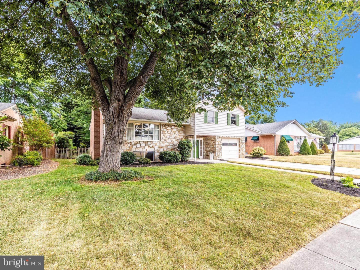 703 Wyngate Dr