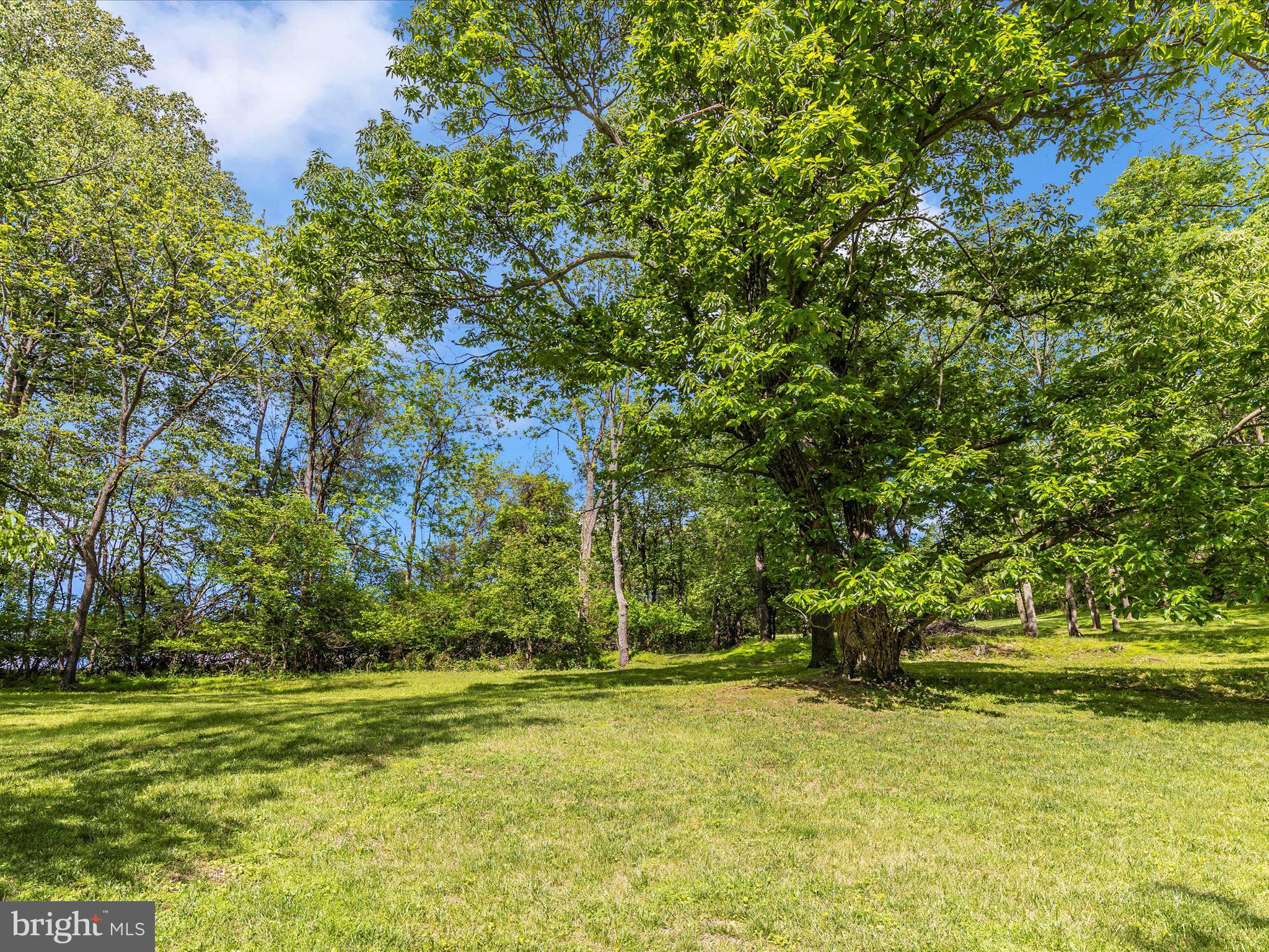 10433 GRINDSTONE RUN ROAD