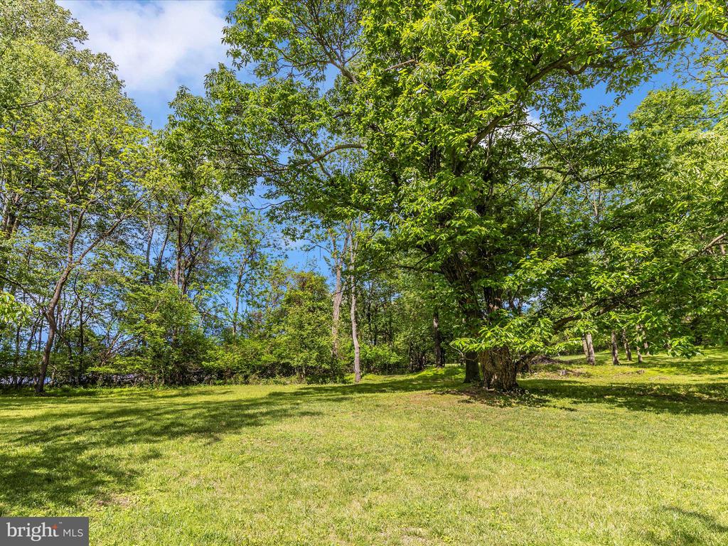 10433 GRINDSTONE RUN ROAD