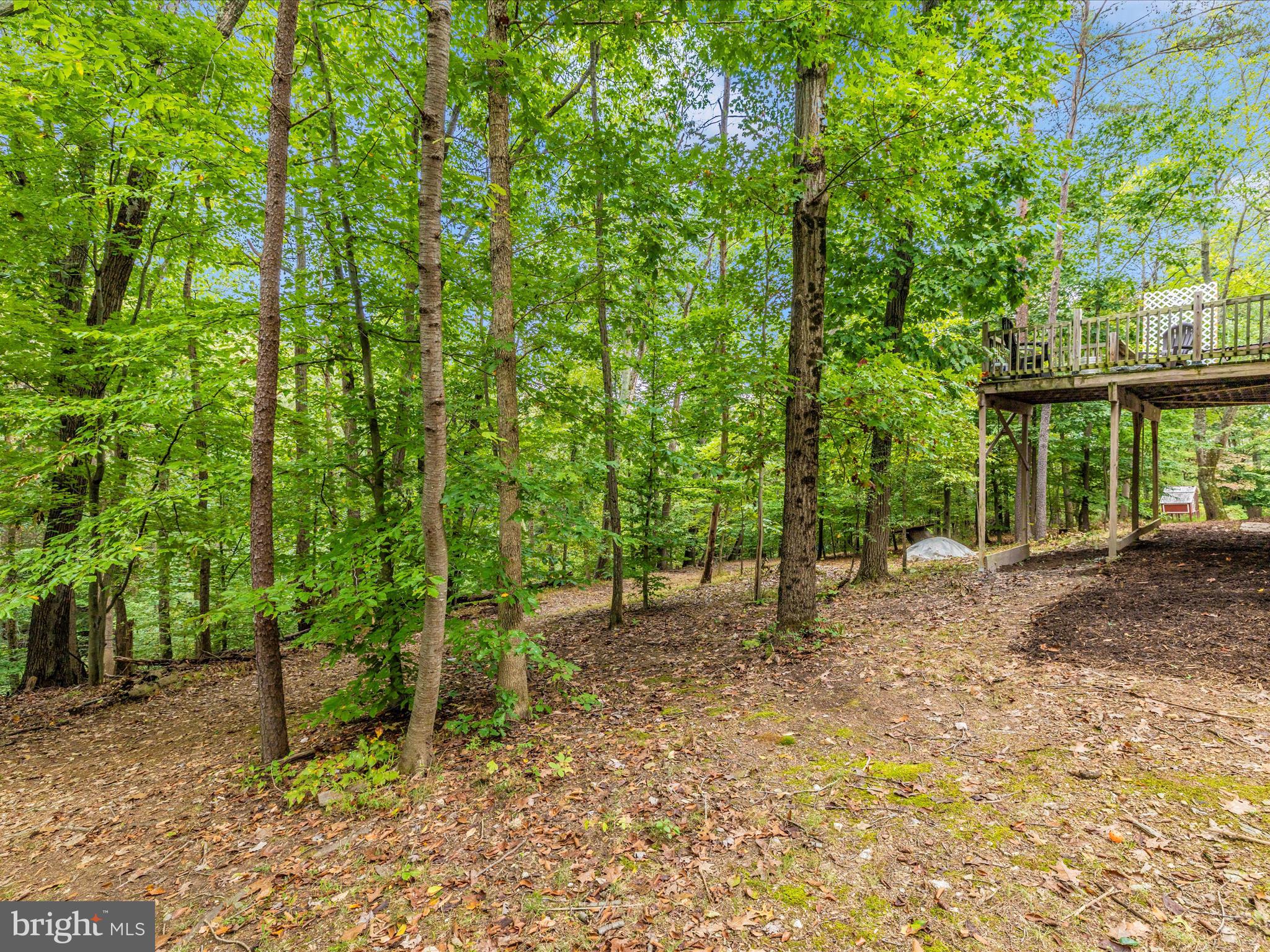 3045 FLINT HILL ROAD