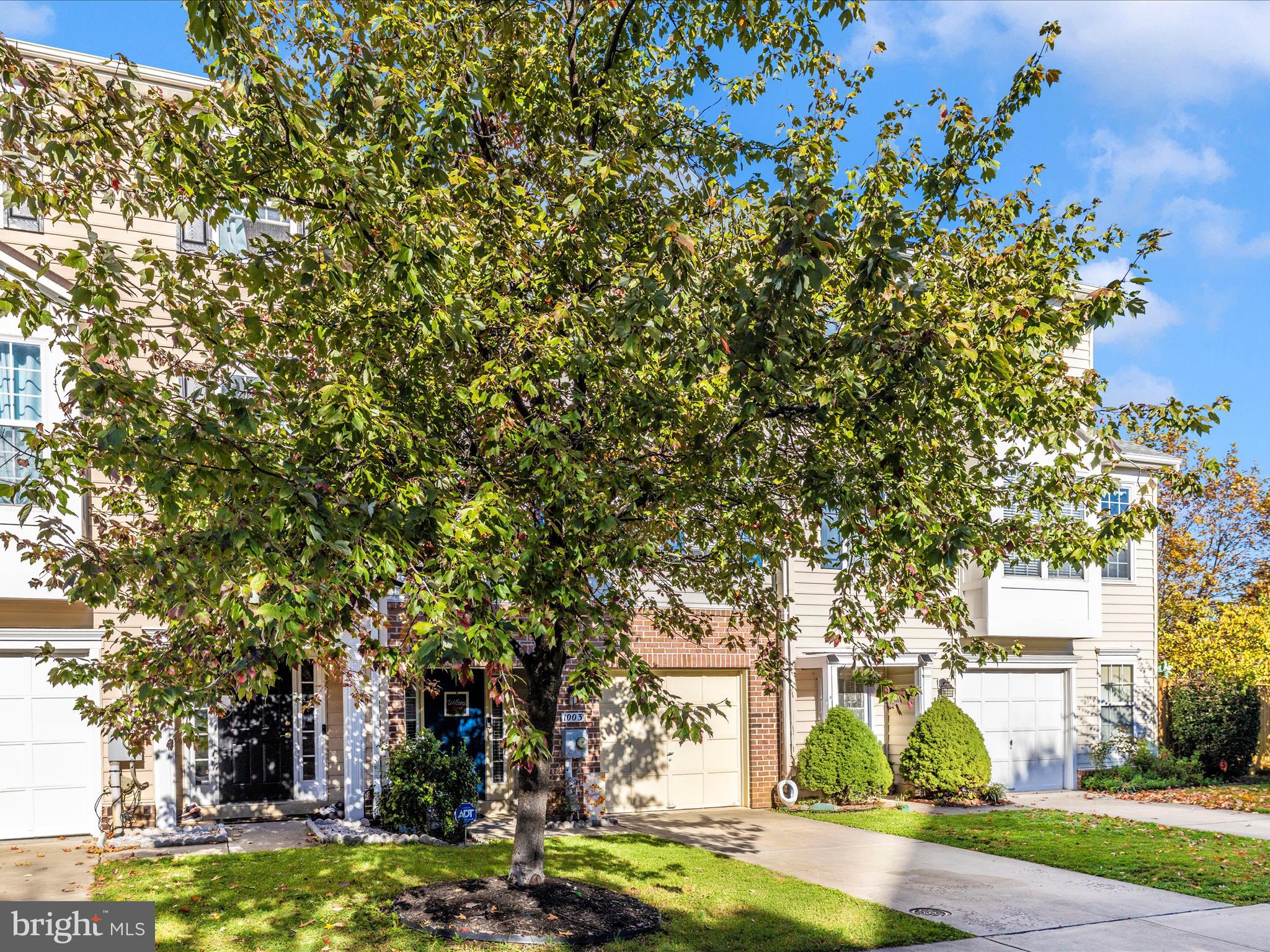 1003 LAVENPORT WAY