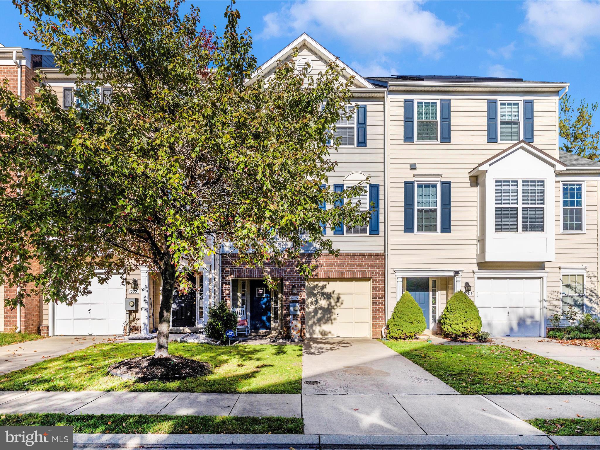 1003 LAVENPORT WAY