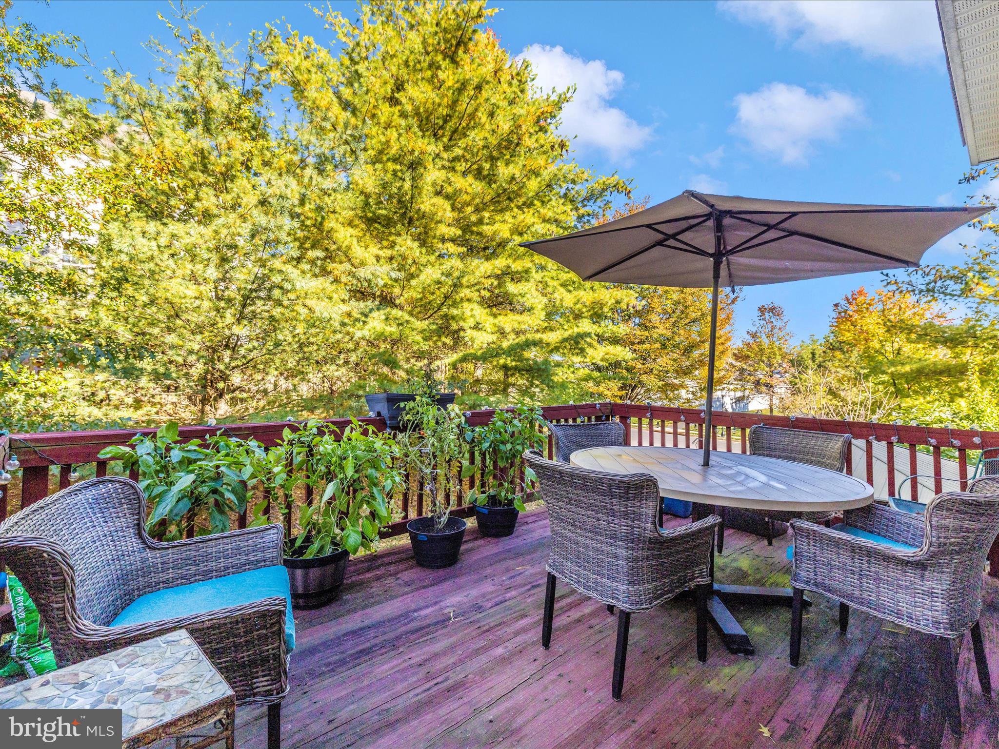 1003 LAVENPORT WAY