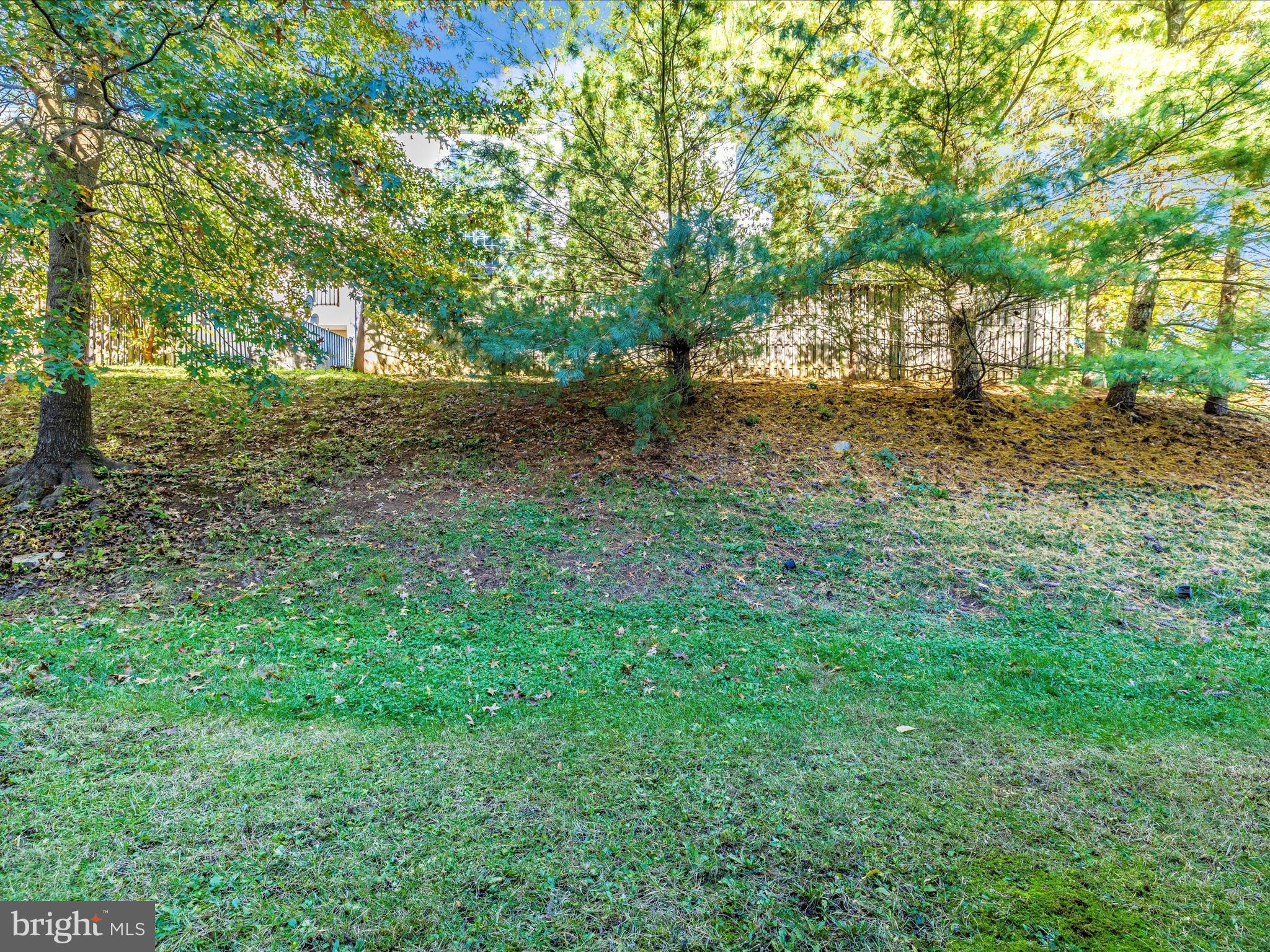 1003 LAVENPORT WAY