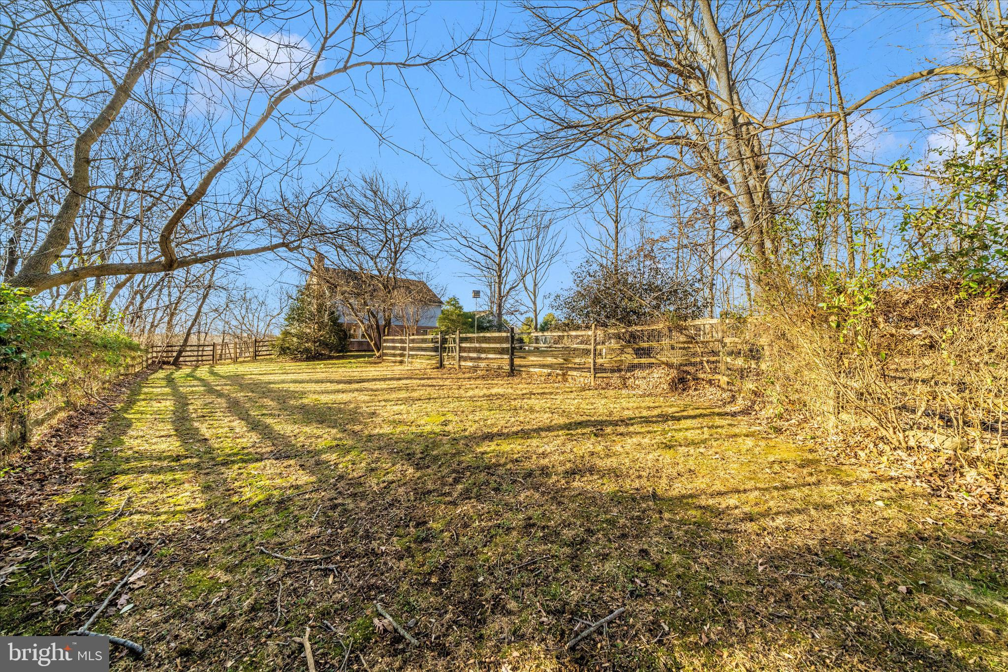 11788 RIDGEWAY COURT