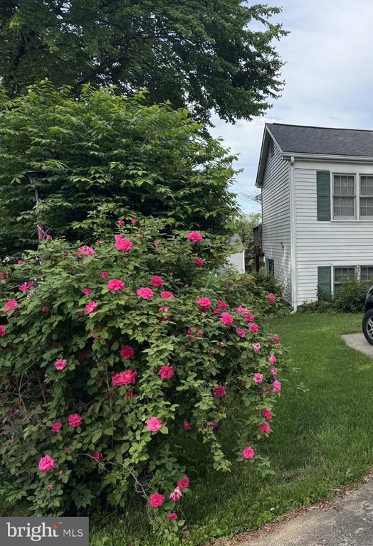 274 LONGFORD DRIVE