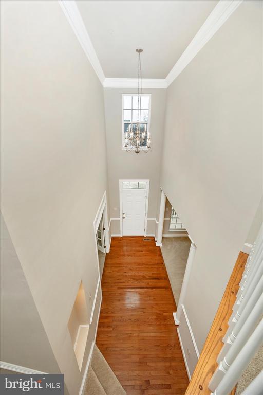 118 SUNLIGHT COURT