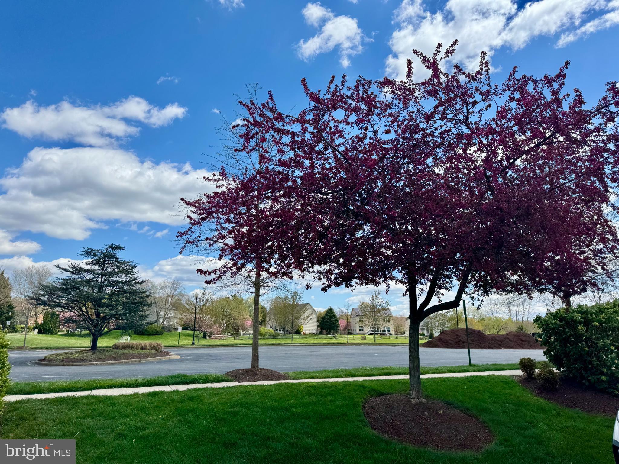 1791 WHEYFIELD DRIVE B 19-B