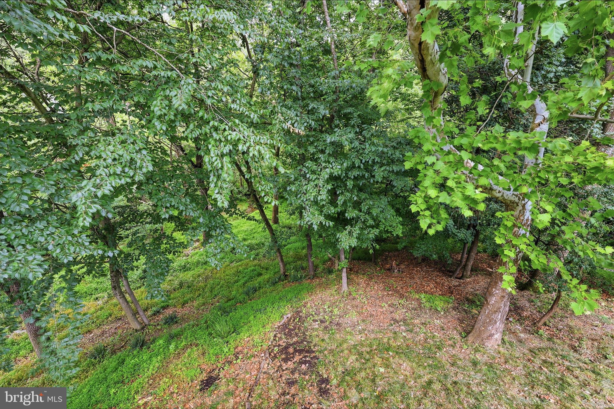6714 MEADOWLAWN CIRCLE
