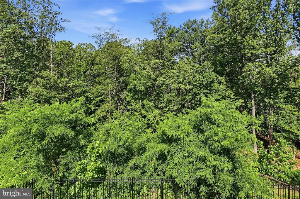 7116 STARMOUNT COURT