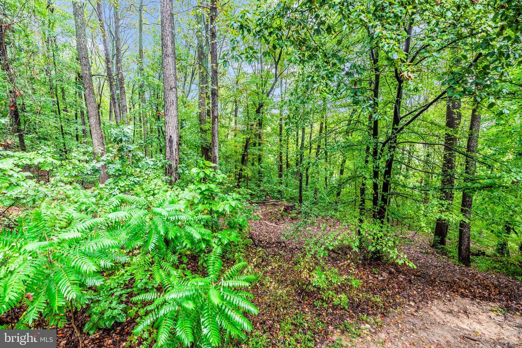 6838 MOUNTAIN CHURCH ROAD
